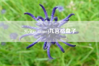 珠海九宫格盘子