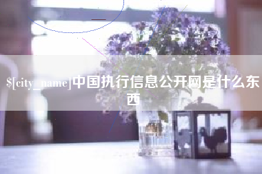 珠海中国执行信息公开网是什么东西