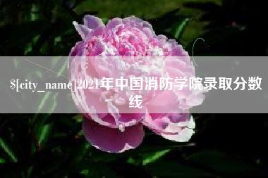 珠海2021年中国消防学院录取分数线