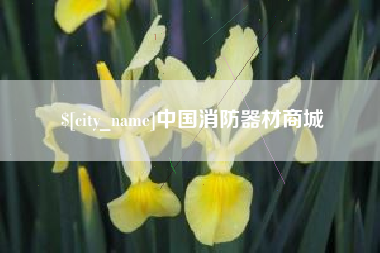 珠海中国消防器材商城