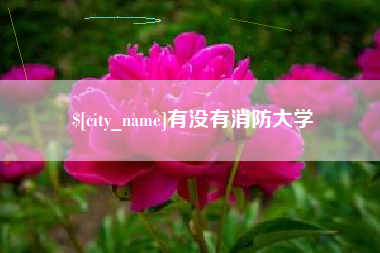 珠海有没有消防大学