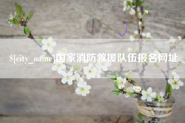 珠海国家消防救援队伍报名网址