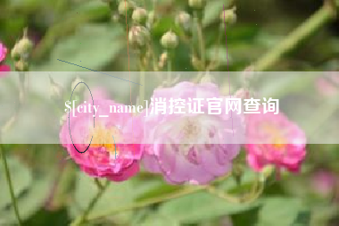 珠海消控证官网查询