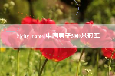 珠海中国男子5000米冠军