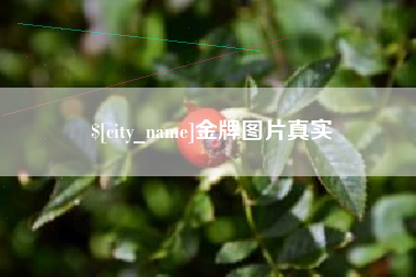 珠海金牌图片真实
