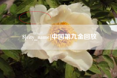 珠海中国第九金回放