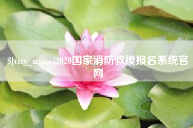 珠海2020国家消防救援报名系统官网