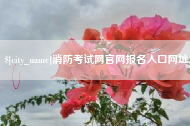 珠海消防考试网官网报名入口网址