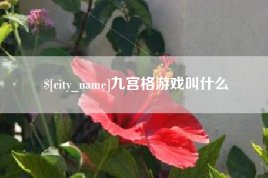 珠海九宫格游戏叫什么