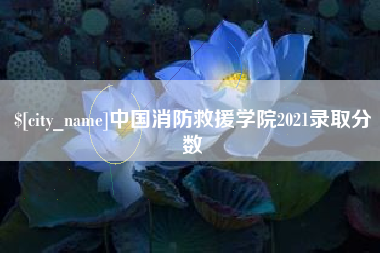 珠海中国消防救援学院2021录取分数
