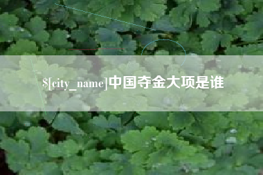珠海中国夺金大项是谁