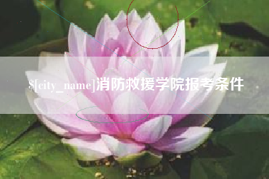 珠海消防救援学院报考条件