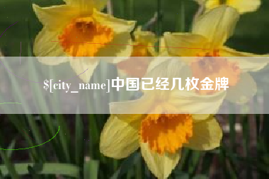 珠海中国已经几枚金牌