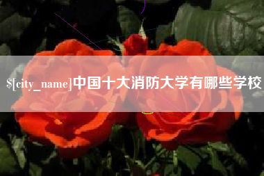 珠海中国十大消防大学有哪些学校