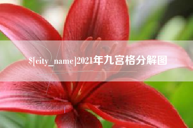 珠海2021年九宫格分解图