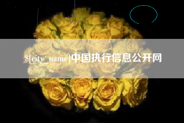珠海中国执行信息公开网