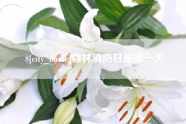 珠海森林消防日是哪一天