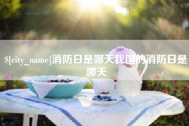 珠海消防日是哪天我国的消防日是哪天