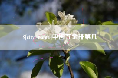 珠海中国夺金排第几