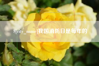 珠海我国消防日是每年的