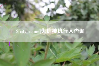 珠海失信被执行人杳询