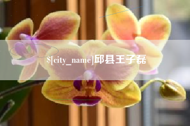 珠海邱县王子磊