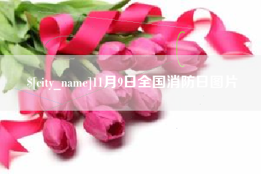 珠海11月9日全国消防日图片