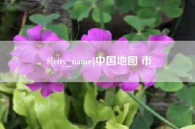 珠海中国地图 市