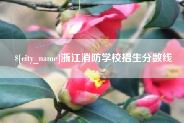 珠海浙江消防学校招生分数线