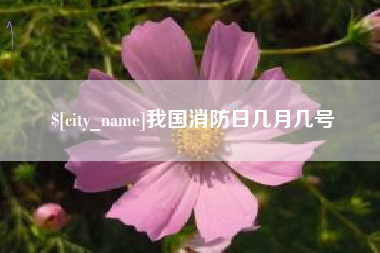 珠海我国消防日几月几号