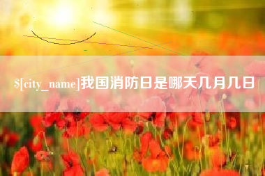珠海我国消防日是哪天几月几日