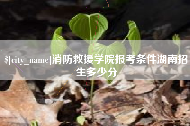 珠海消防救援学院报考条件湖南招生多少分