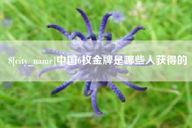 珠海中国6枚金牌是哪些人获得的