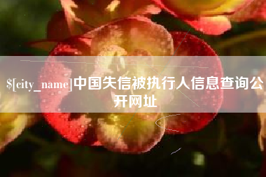 珠海中国失信被执行人信息查询公开网址