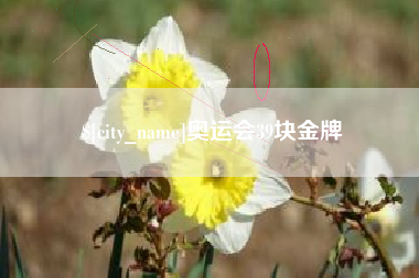 珠海奥运会39块金牌