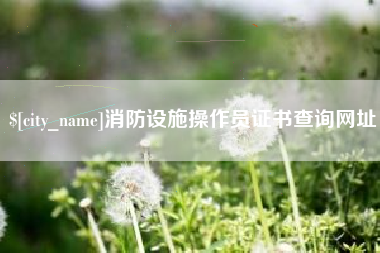 珠海消防设施操作员证书查询网址