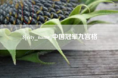 珠海中国冠军九宫格