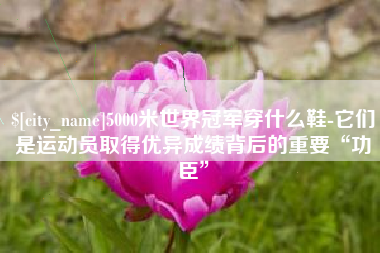 珠海5000米世界冠军穿什么鞋-它们是运动员取得优异成绩背后的重要“功臣”