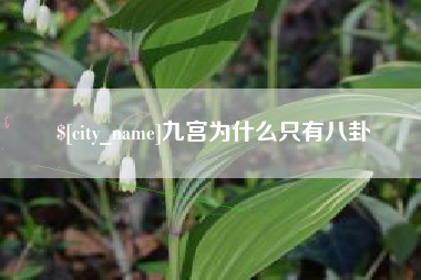 珠海九宫为什么只有八卦