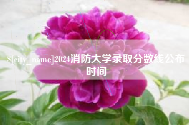 珠海2024消防大学录取分数线公布时间