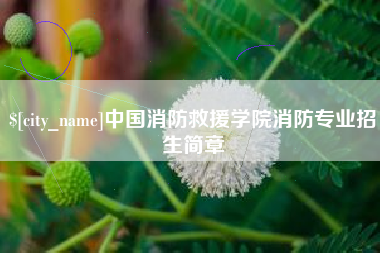 珠海中国消防救援学院消防专业招生简章