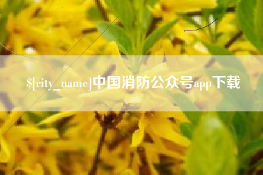 珠海中国消防公众号app下载
