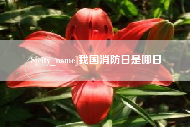 珠海我国消防日是哪日
