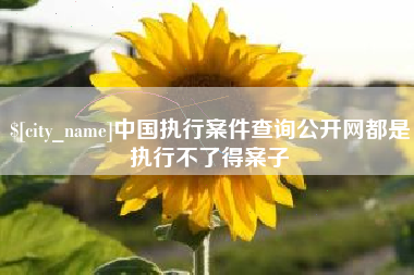 珠海中国执行案件查询公开网都是执行不了得案子