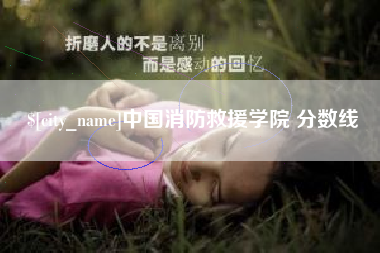 珠海中国消防救援学院 分数线