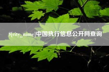 珠海中国执行信息公开网查询