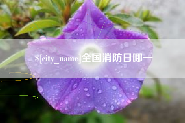珠海全国消防日哪一