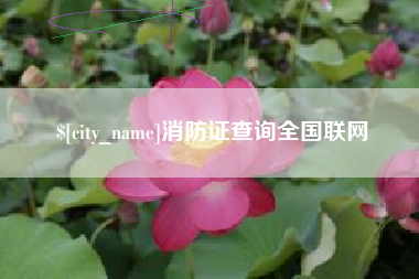 珠海消防证查询全国联网