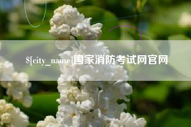 珠海国家消防考试网官网