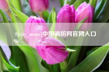 珠海中国消防网官网入口